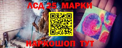 сатива Новокубанск