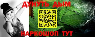 сатива Новокубанск