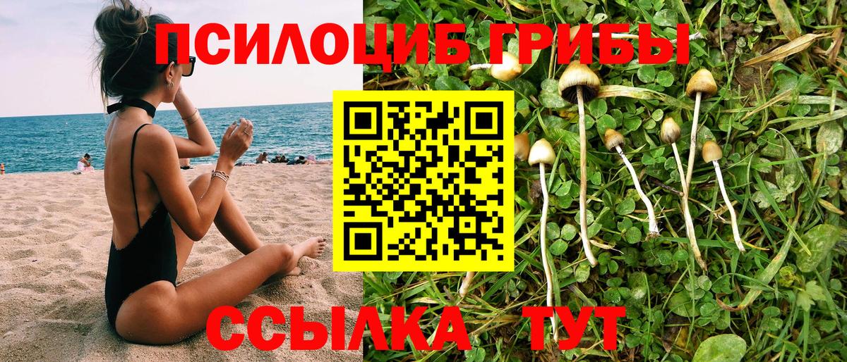 Ульяновск  Галлюциногенные грибы прущие грибы  Вход с VPN  Псилоцибиновые грибы мухоморы 
